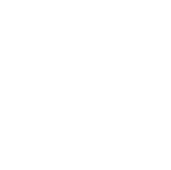 Vector (4)